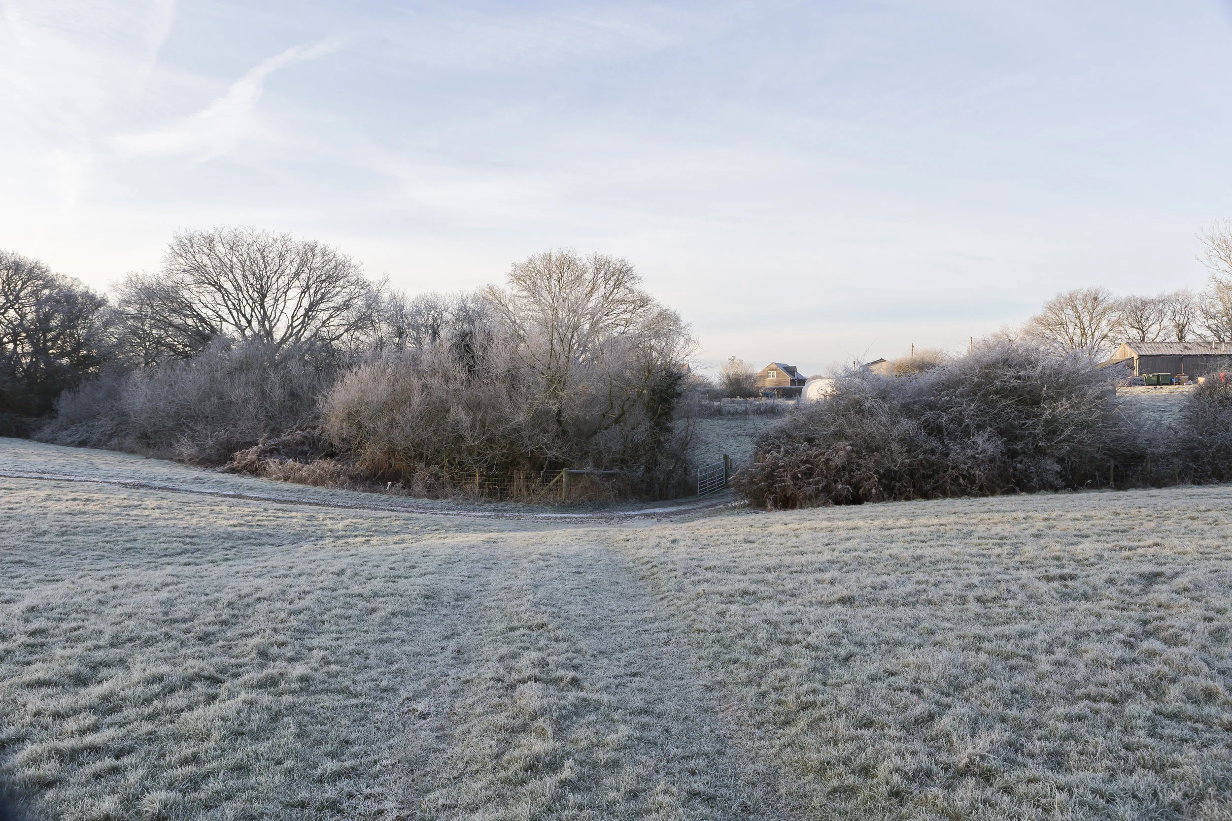 Hawthbush Jan day 3-42.jpg