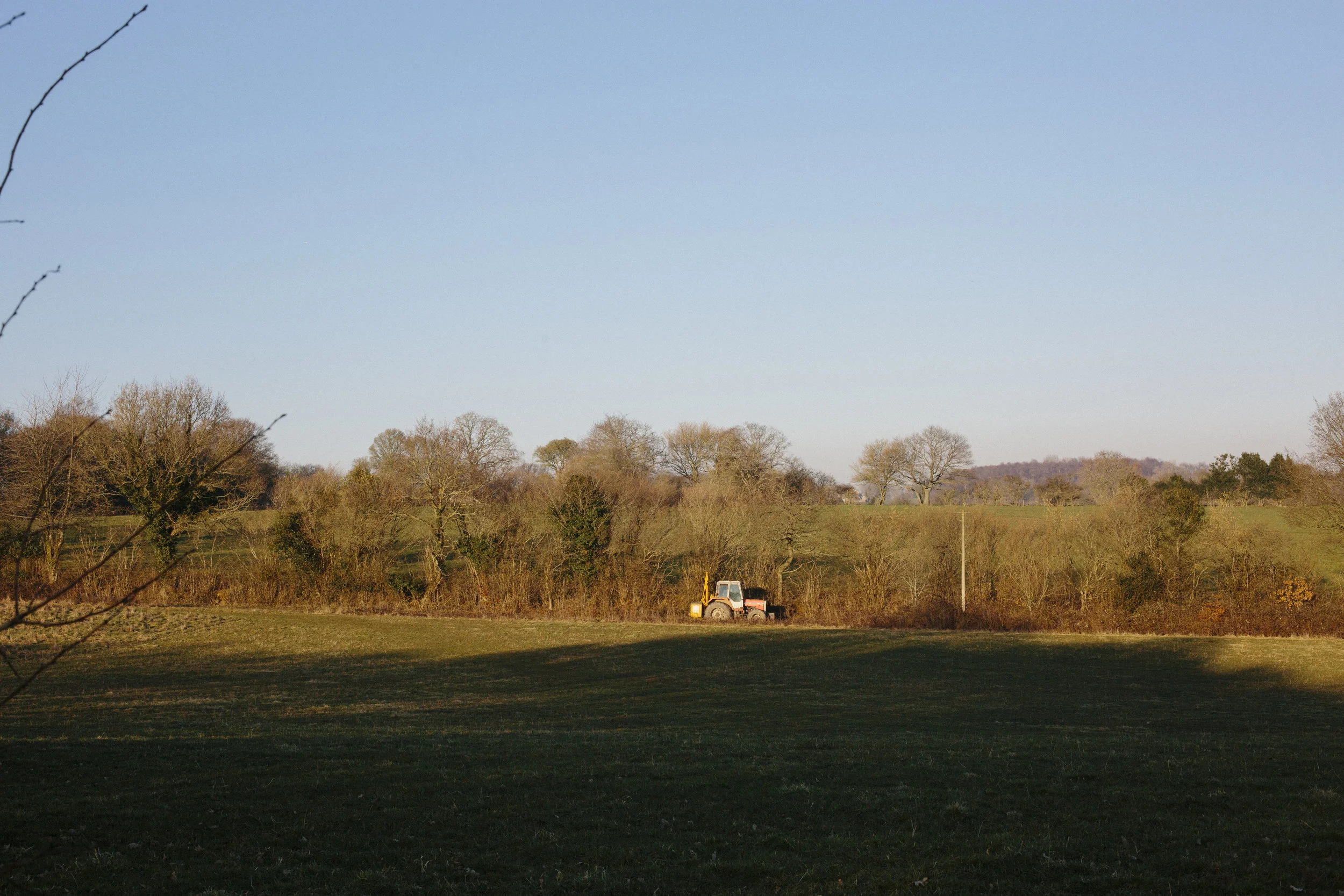 Hawthbush Dusk Feb 2019-145.jpg