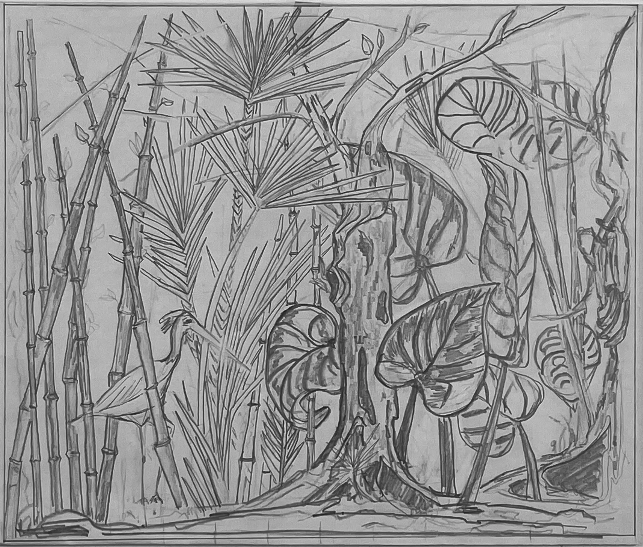 Rainforest Drawing