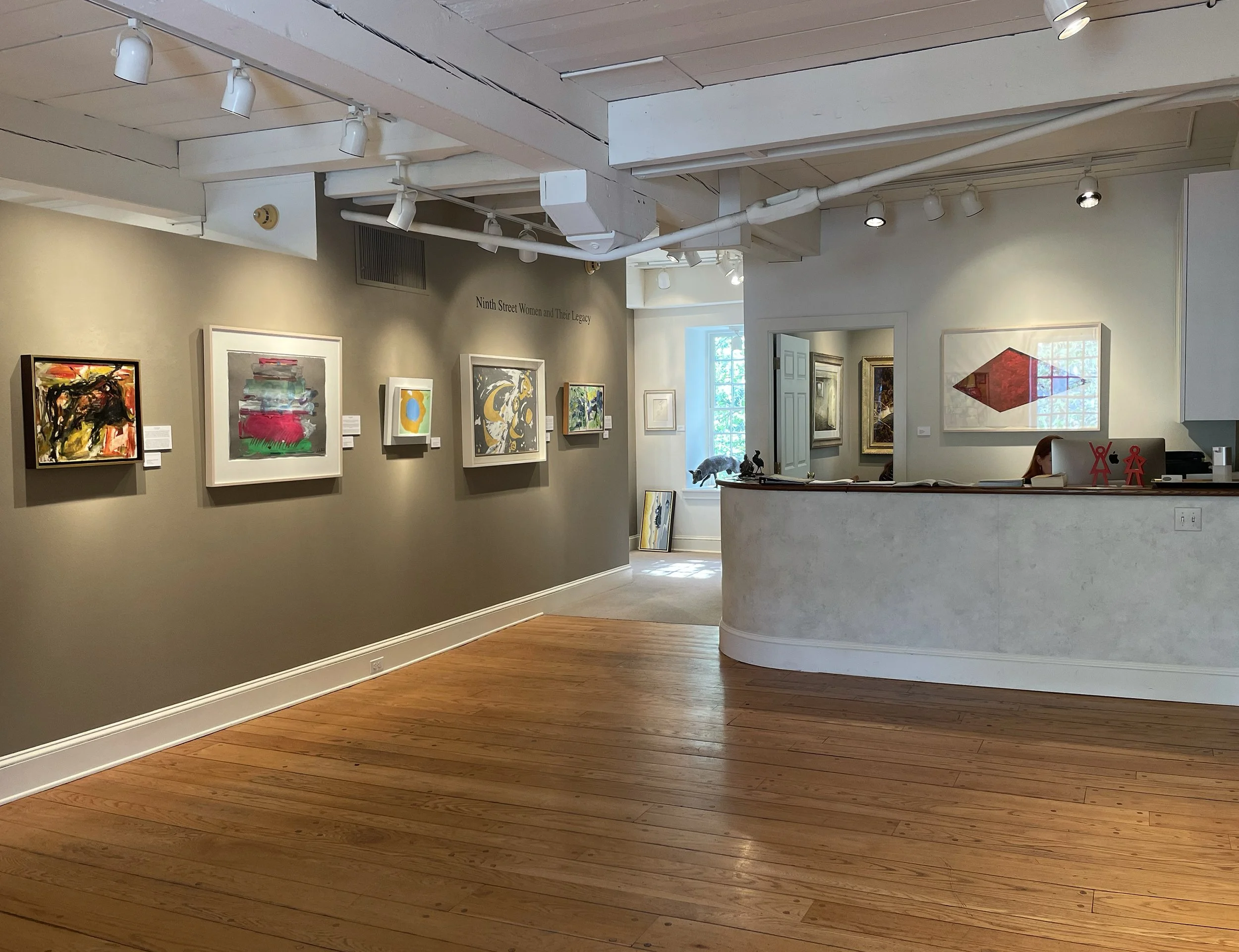Installation at Somerville Manning Gallery, Greenville Delaware