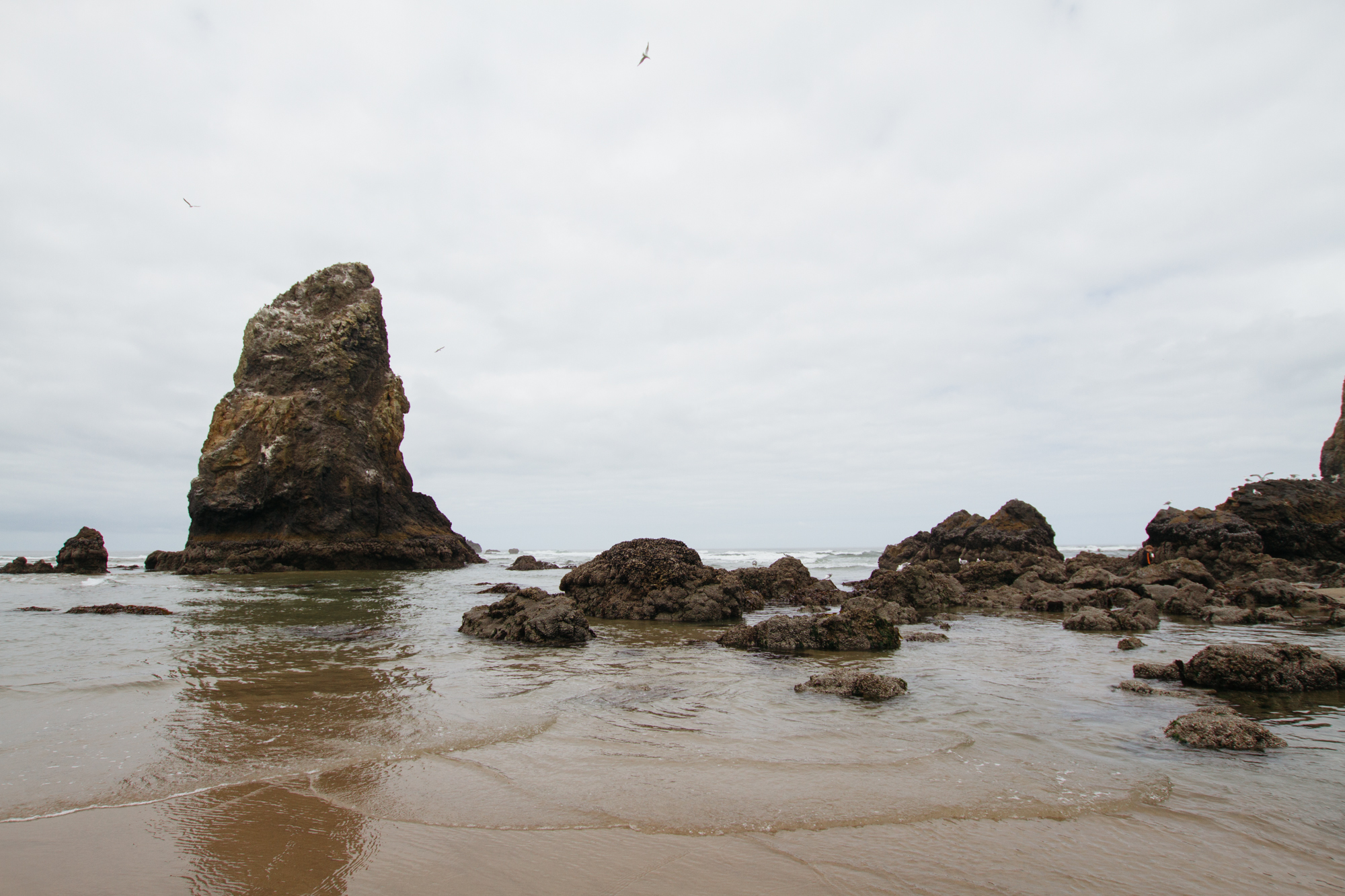 Oregon_2015-0867.jpg