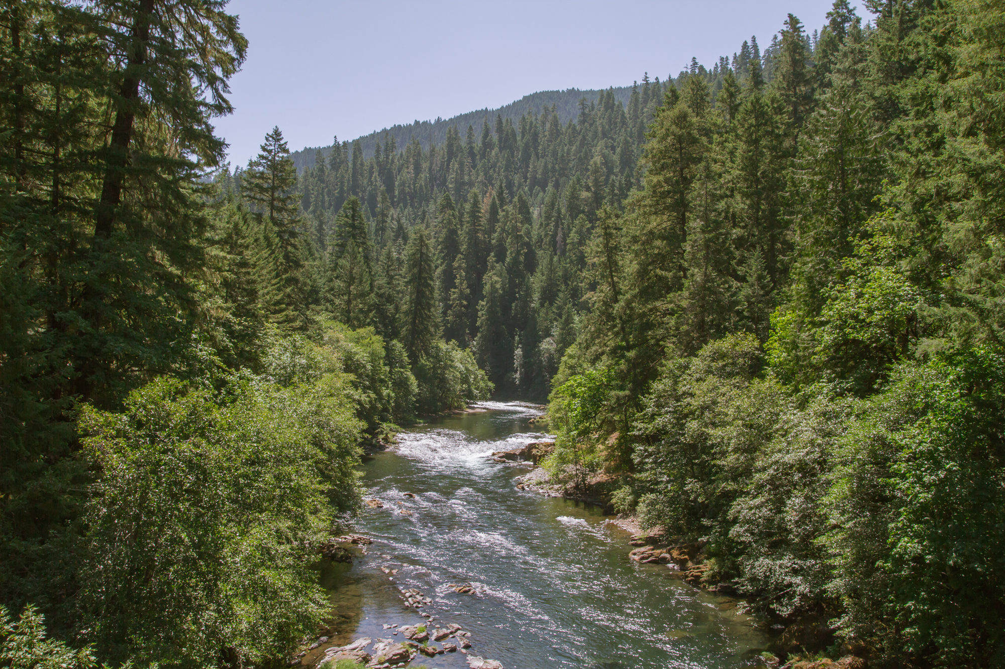 Oregon_2015-0042-3.jpg