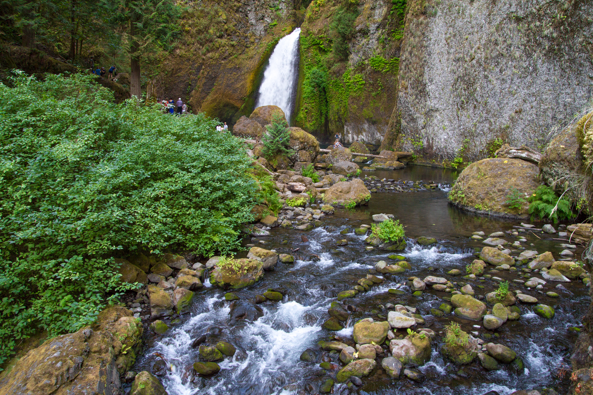 Oregon_2015-0265.jpg