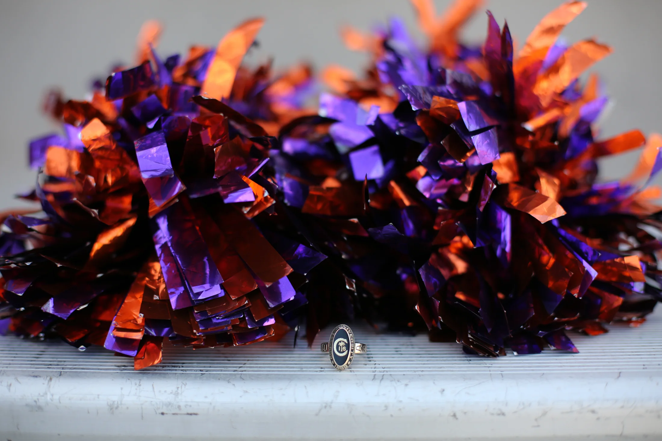 Caroline Potter-Clemson University_DP_2016-7567.jpg