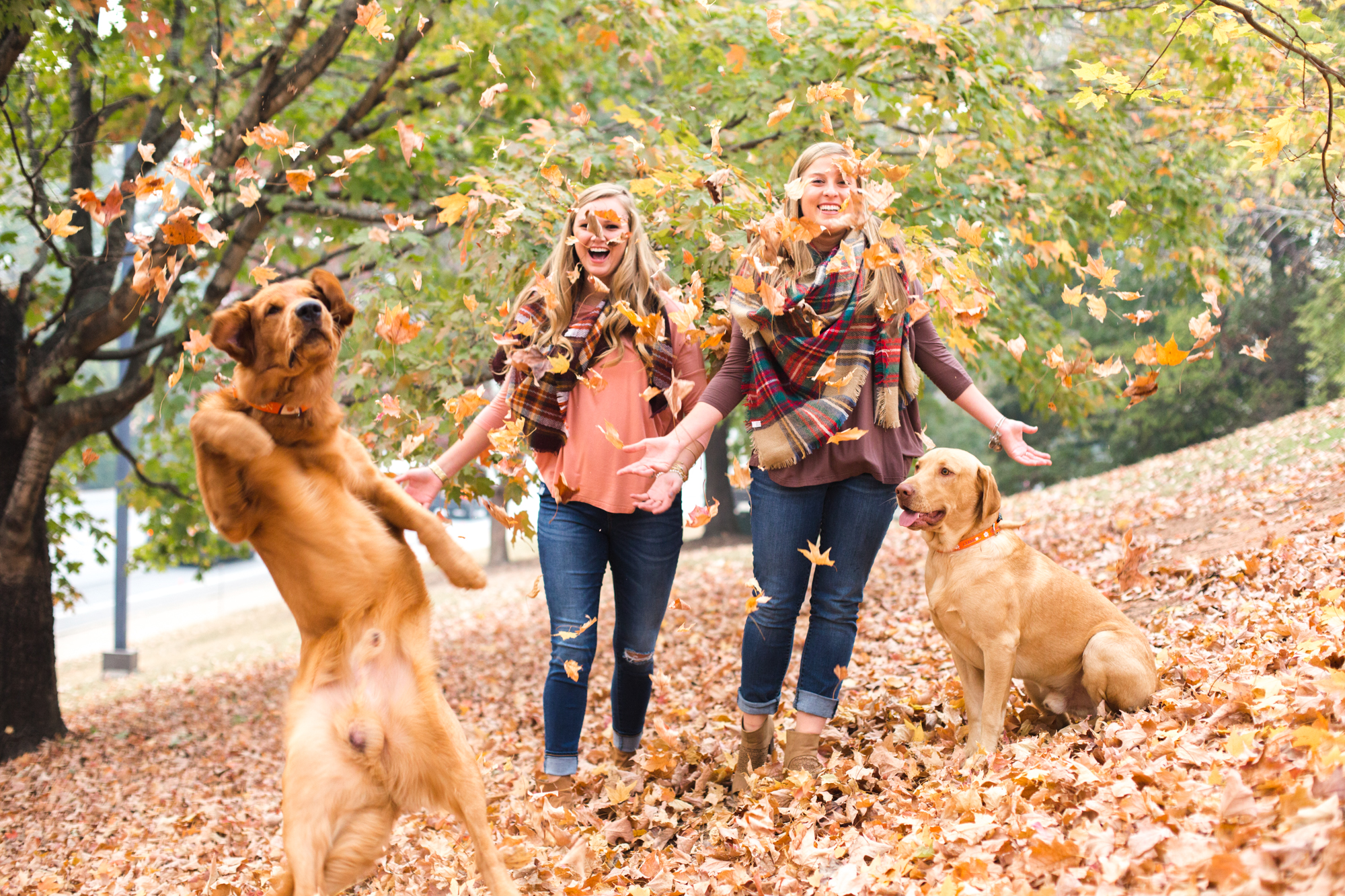 Fall Senior Session_Clemson University_ 2016_DP-3153.jpg