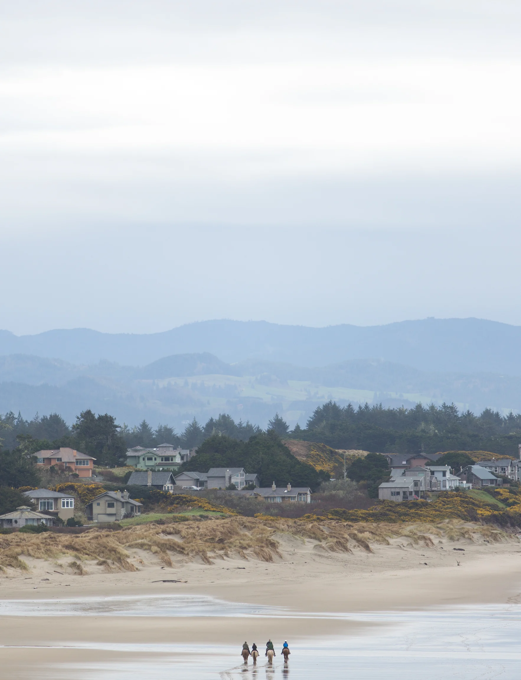 Oregon-3843.jpg