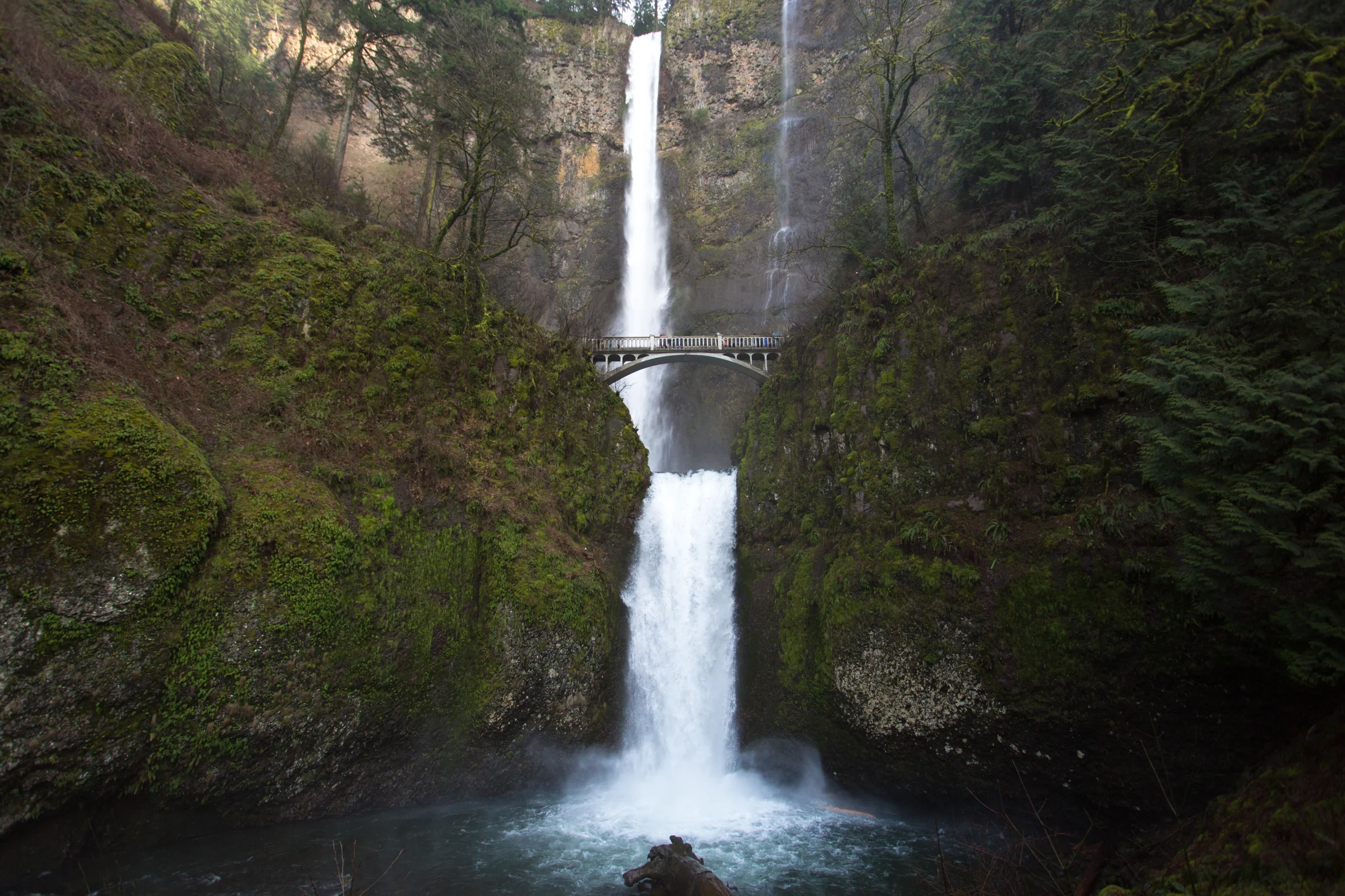 Oregon-4494.jpg