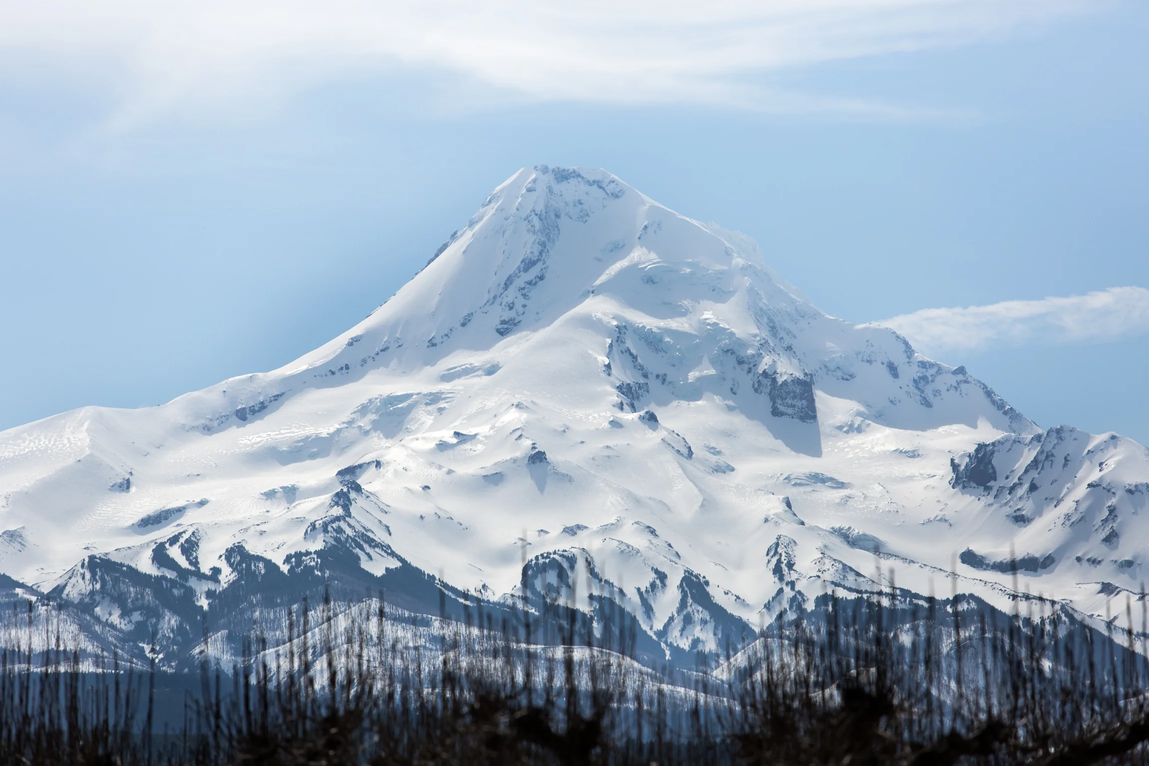 Oregon-4436.jpg