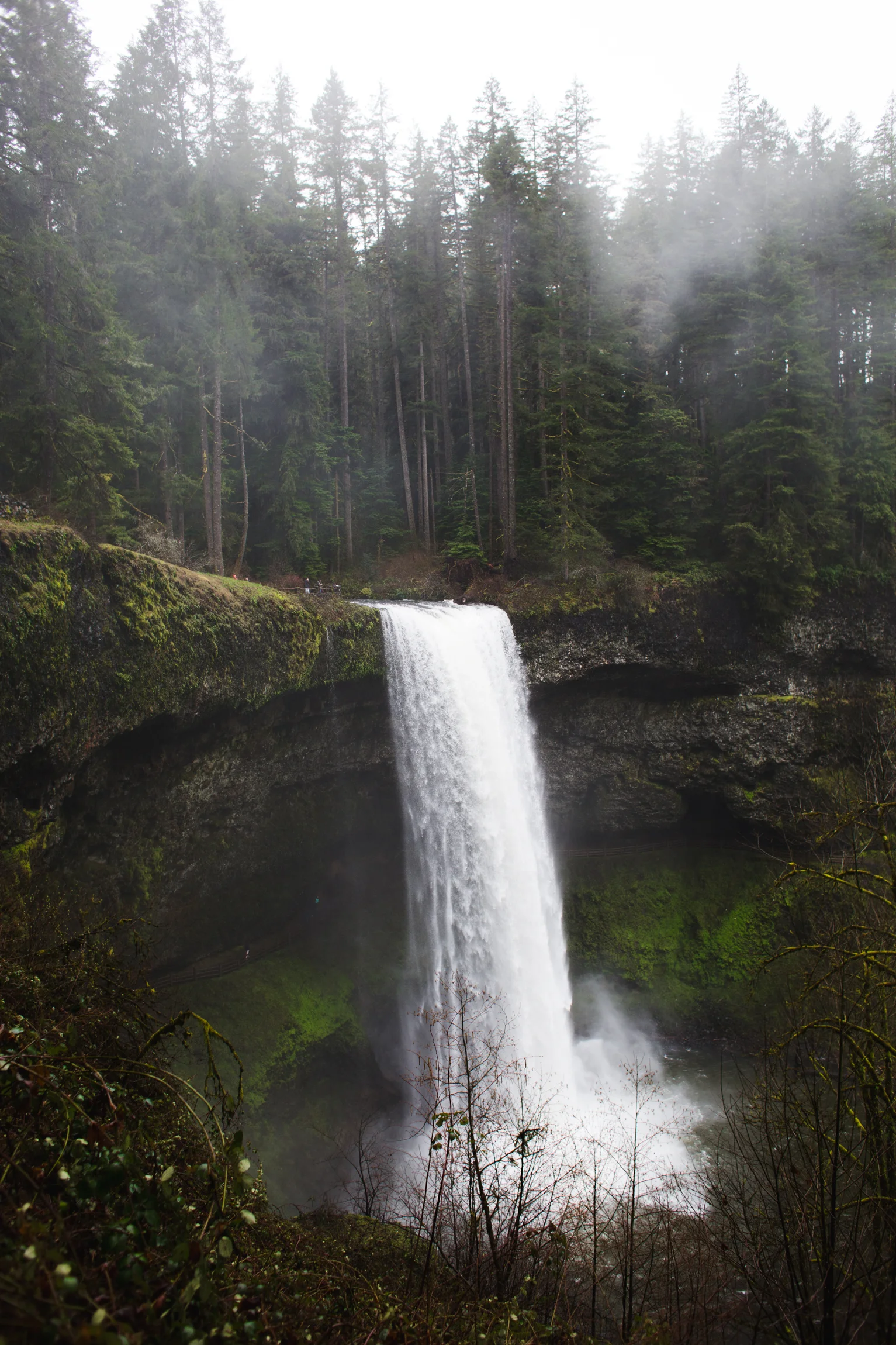 Oregon-4060.jpg