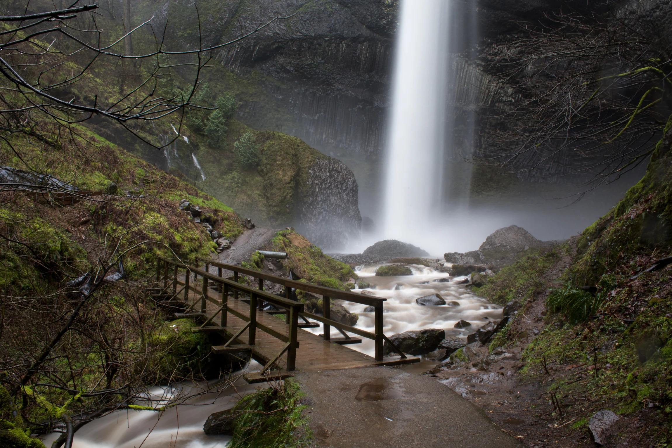 Oregon-2744.jpg