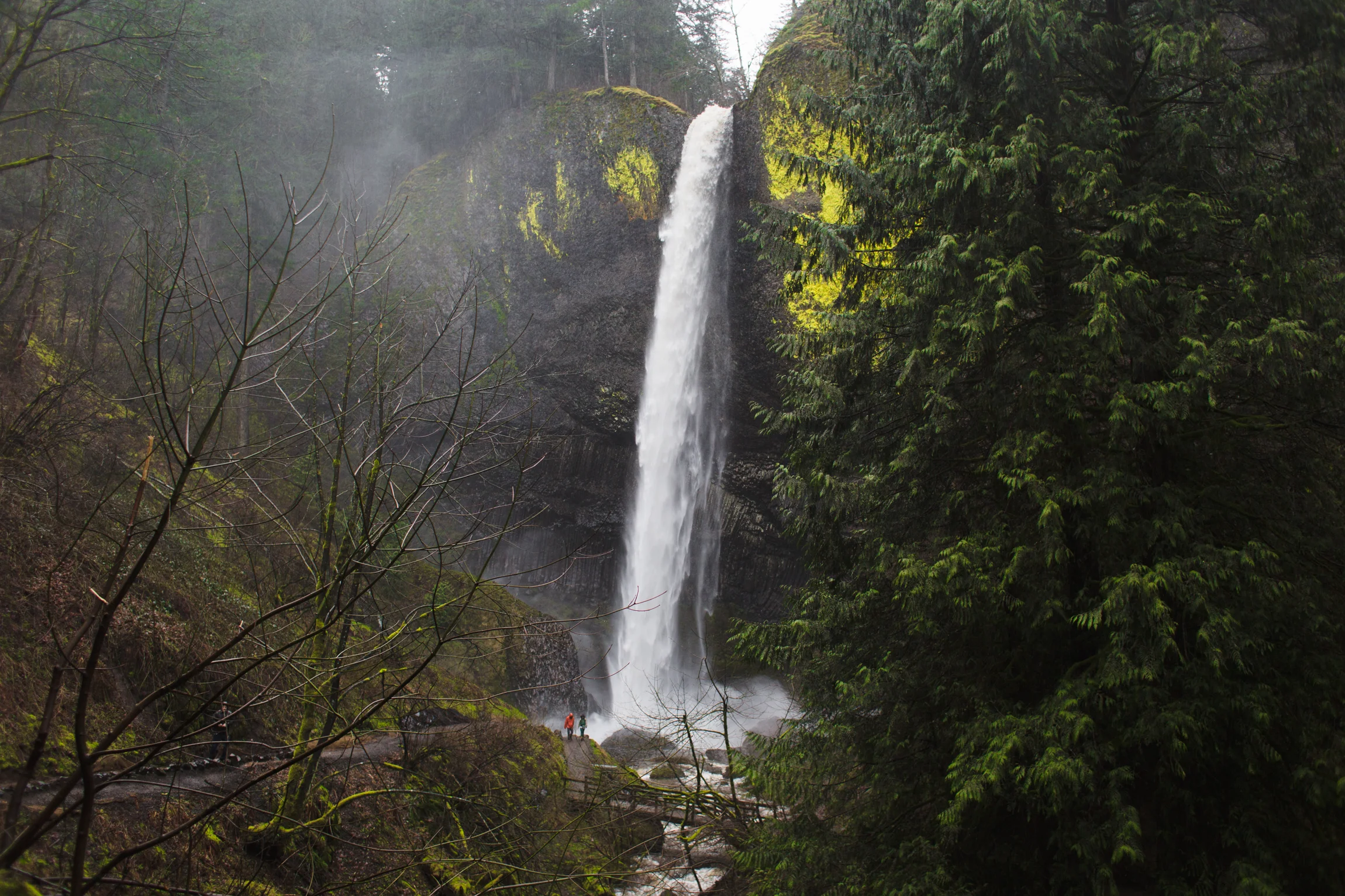 Oregon-2693.jpg