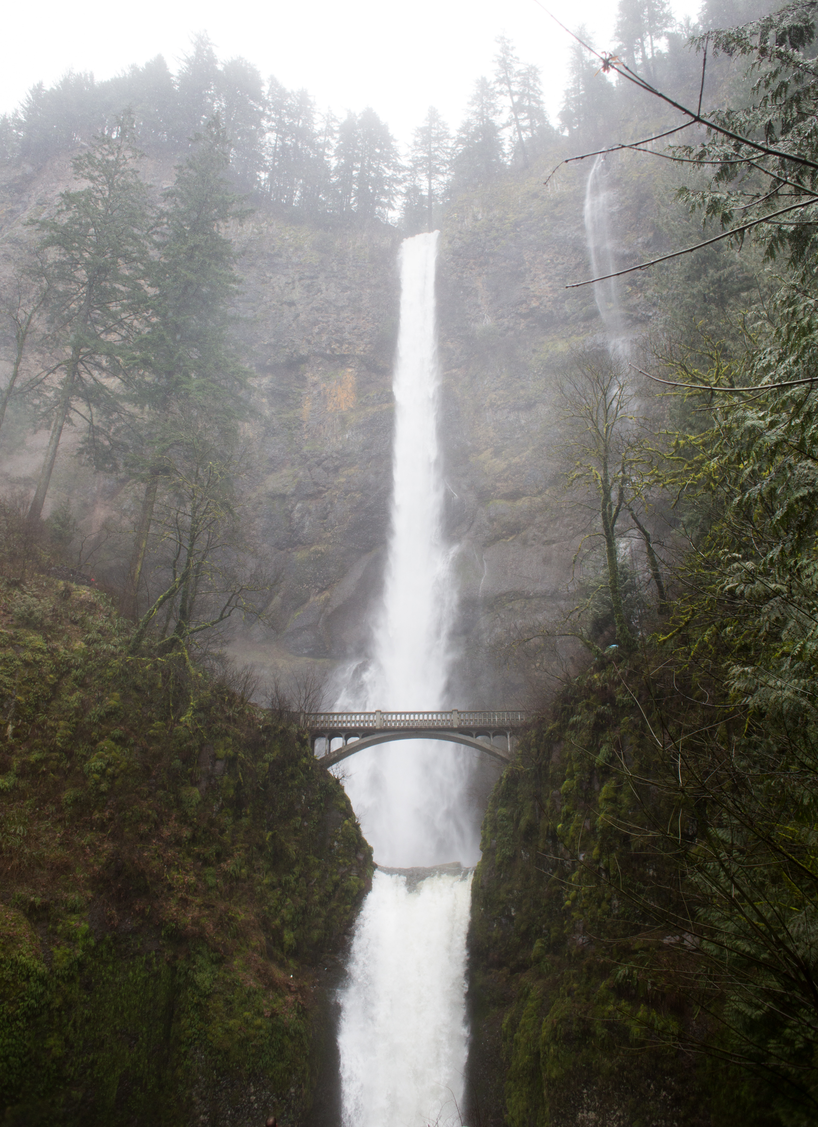 Oregon-2549.jpg