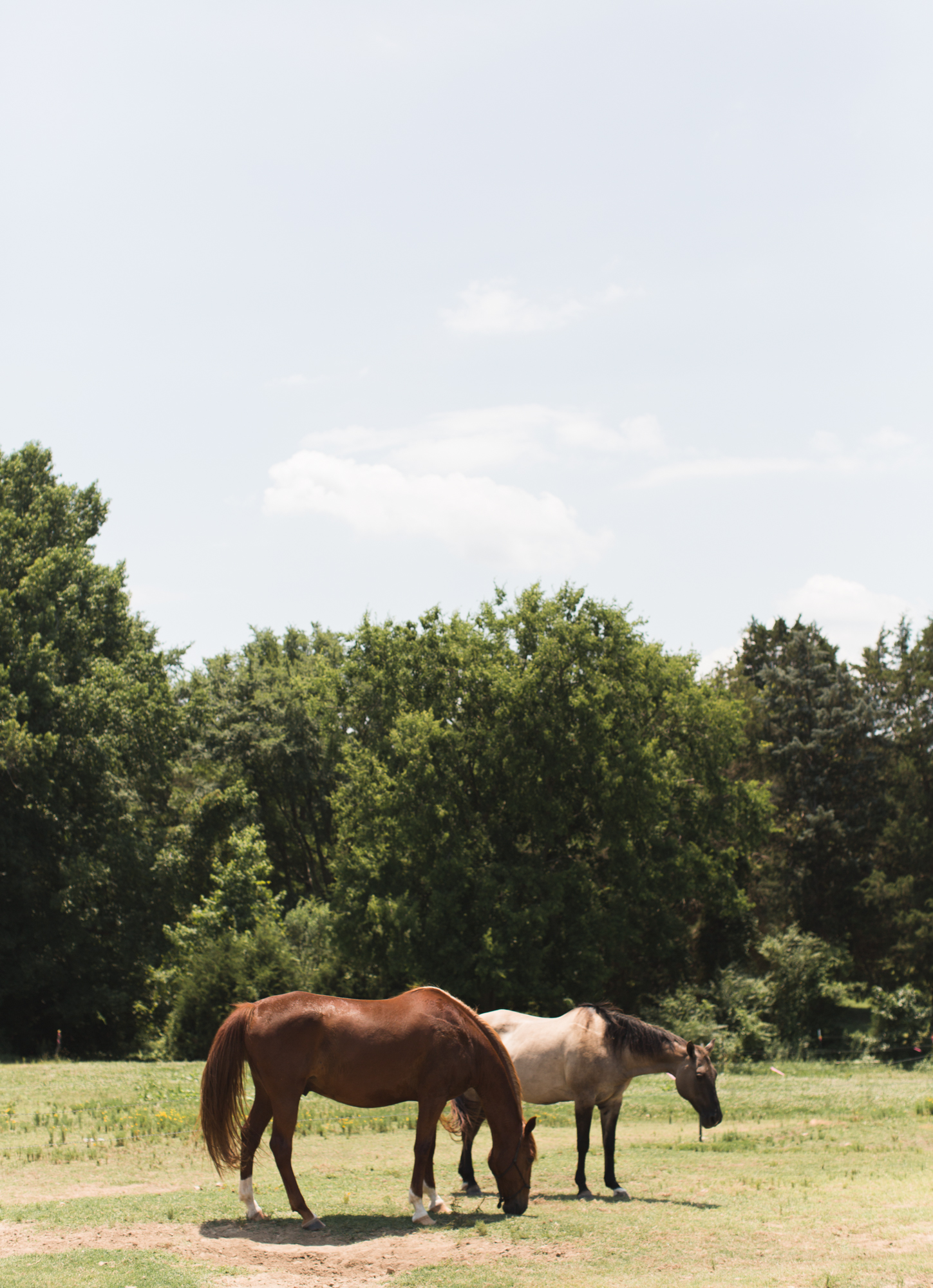 lauren+lucas rock hill south carolina wedding-5382.jpg