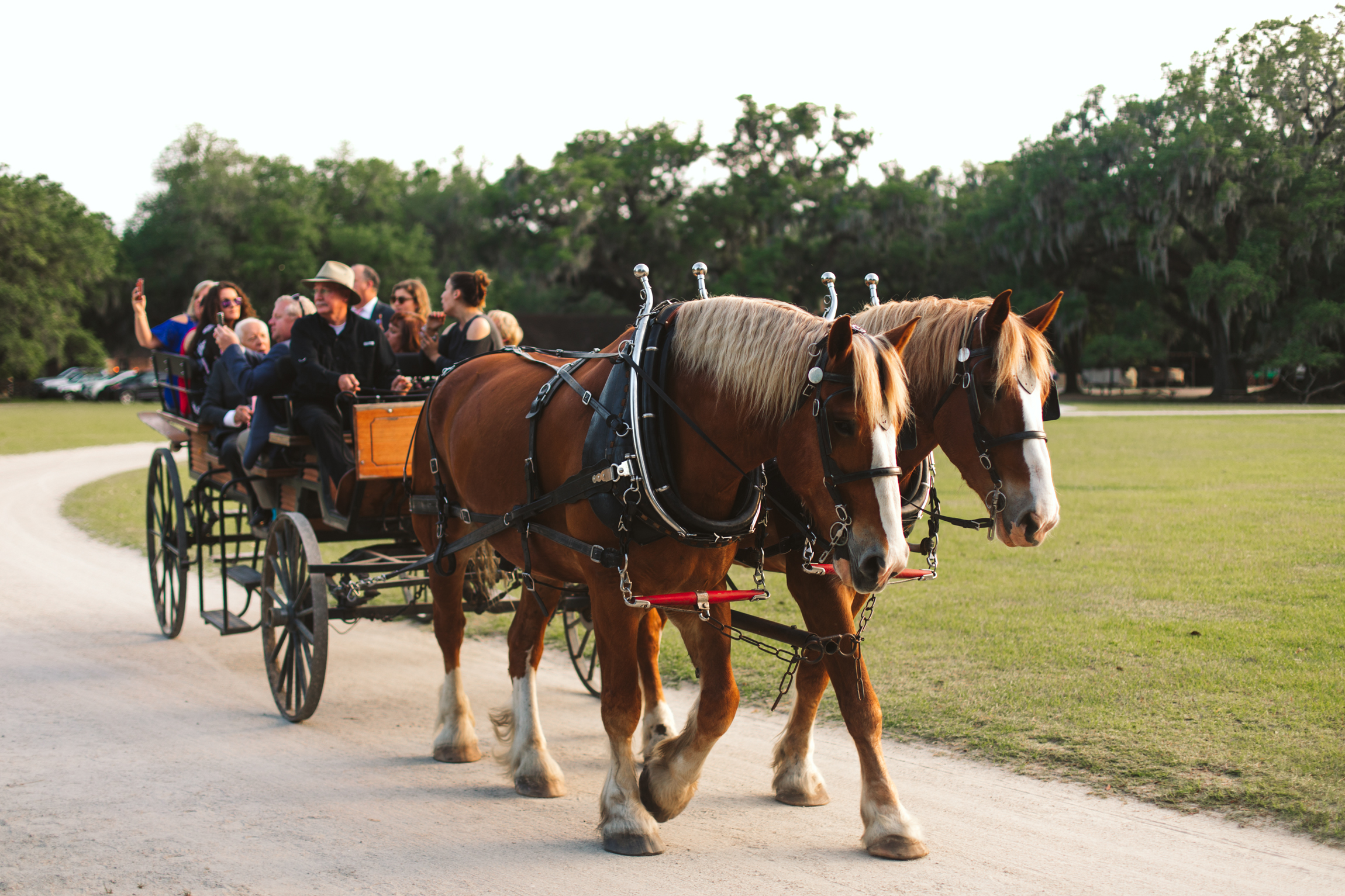 Middleton Place Charleston SC wedding-5522.jpg