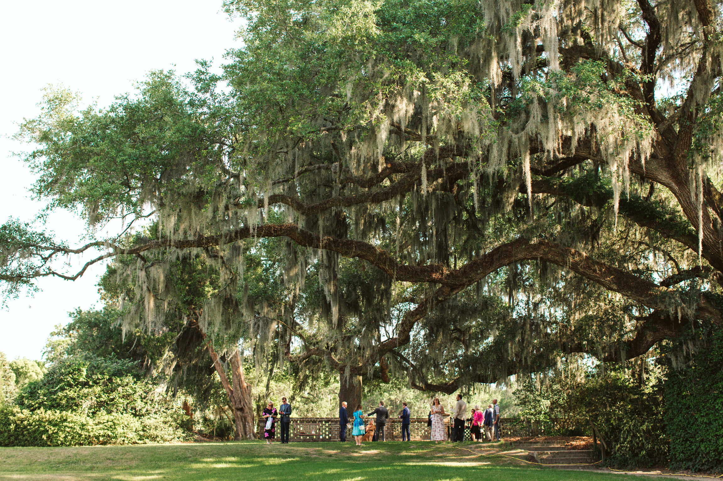 Middleton Place Charleston SC wedding-3817.jpg