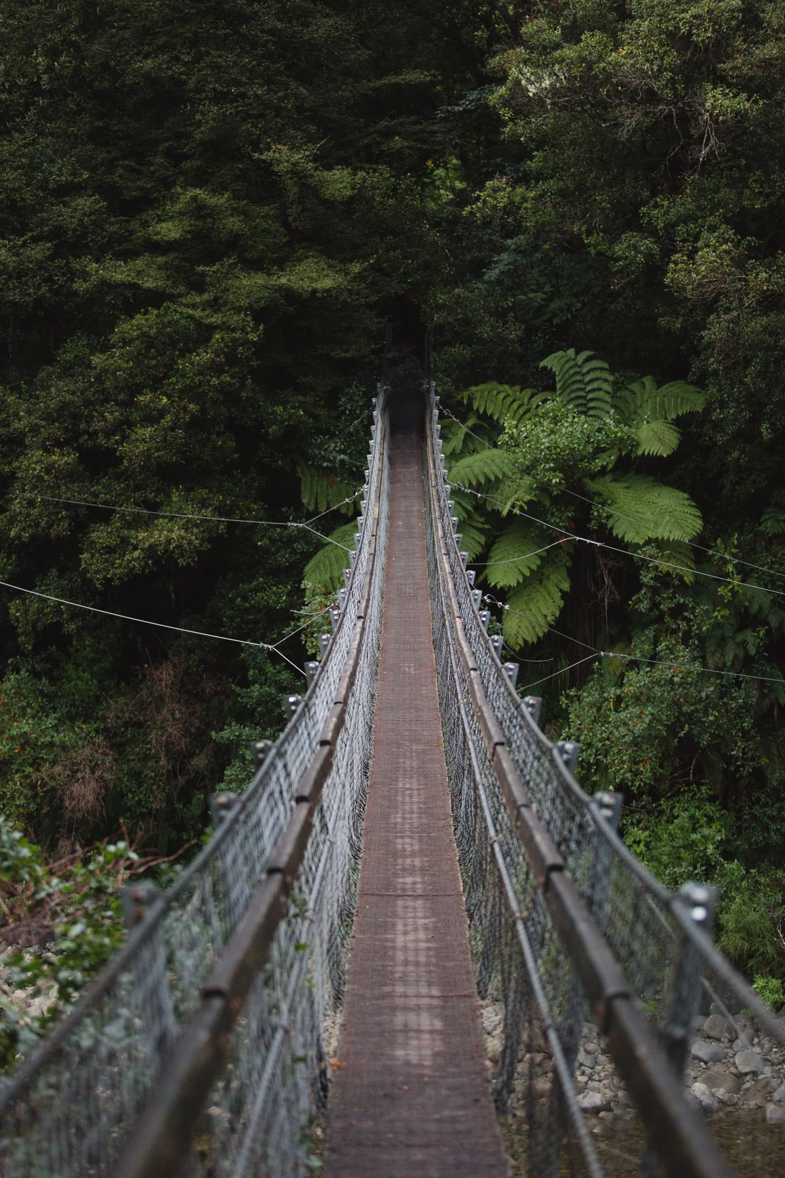 New Zealand-9960.jpg