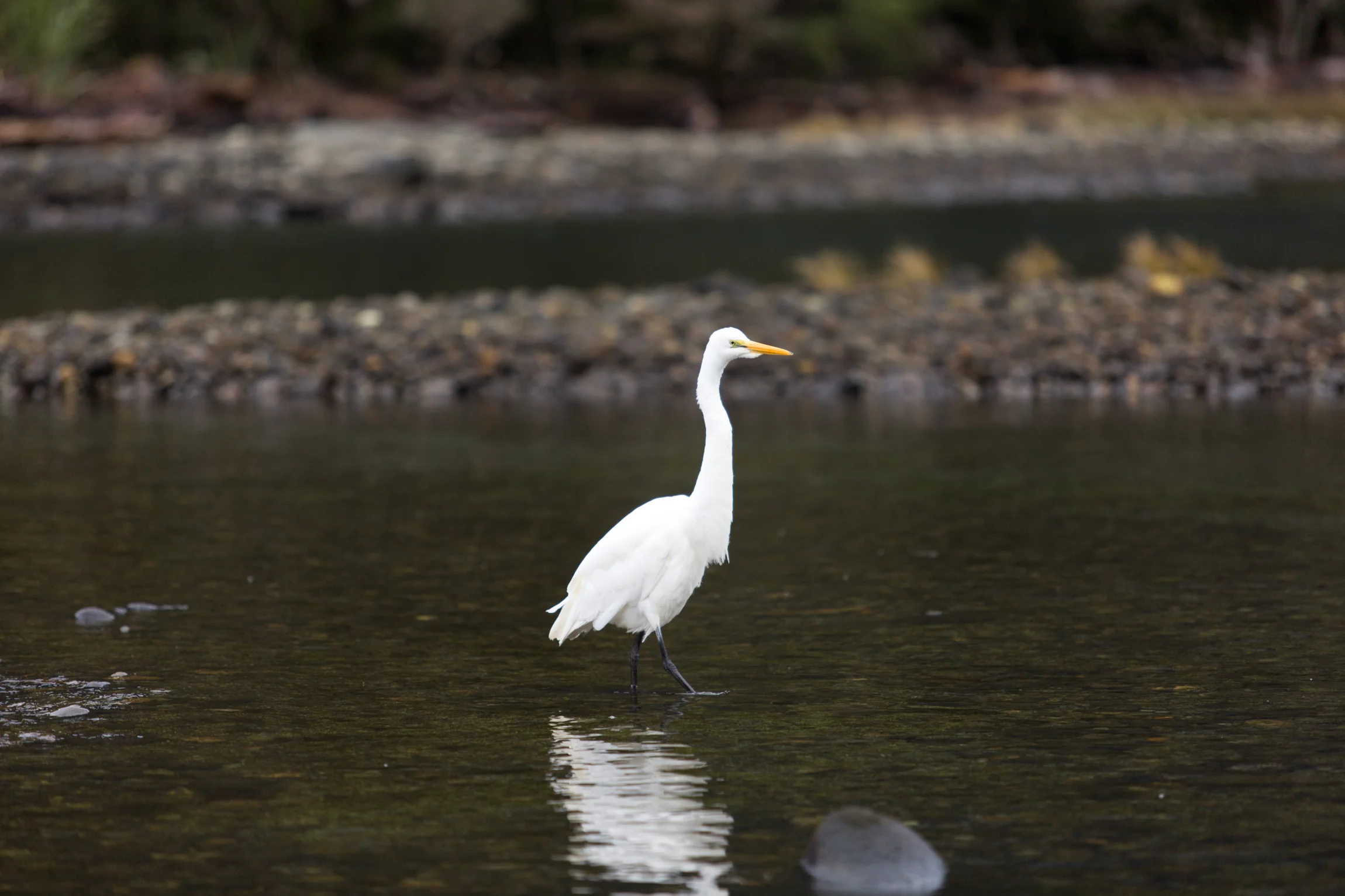 New Zealand-0014.jpg
