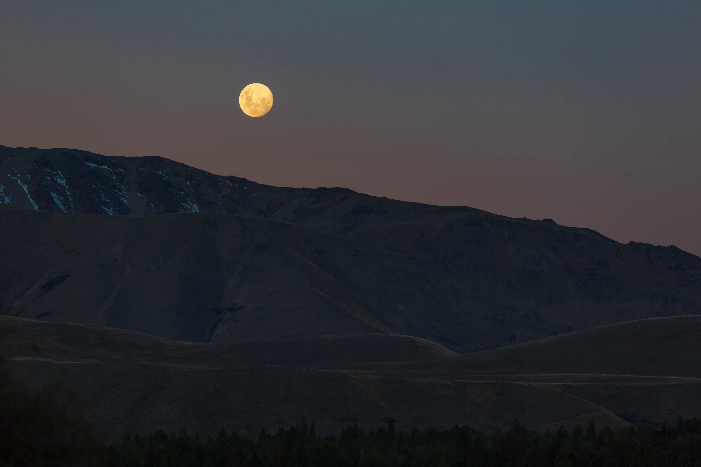 New Zealand-9124.jpg