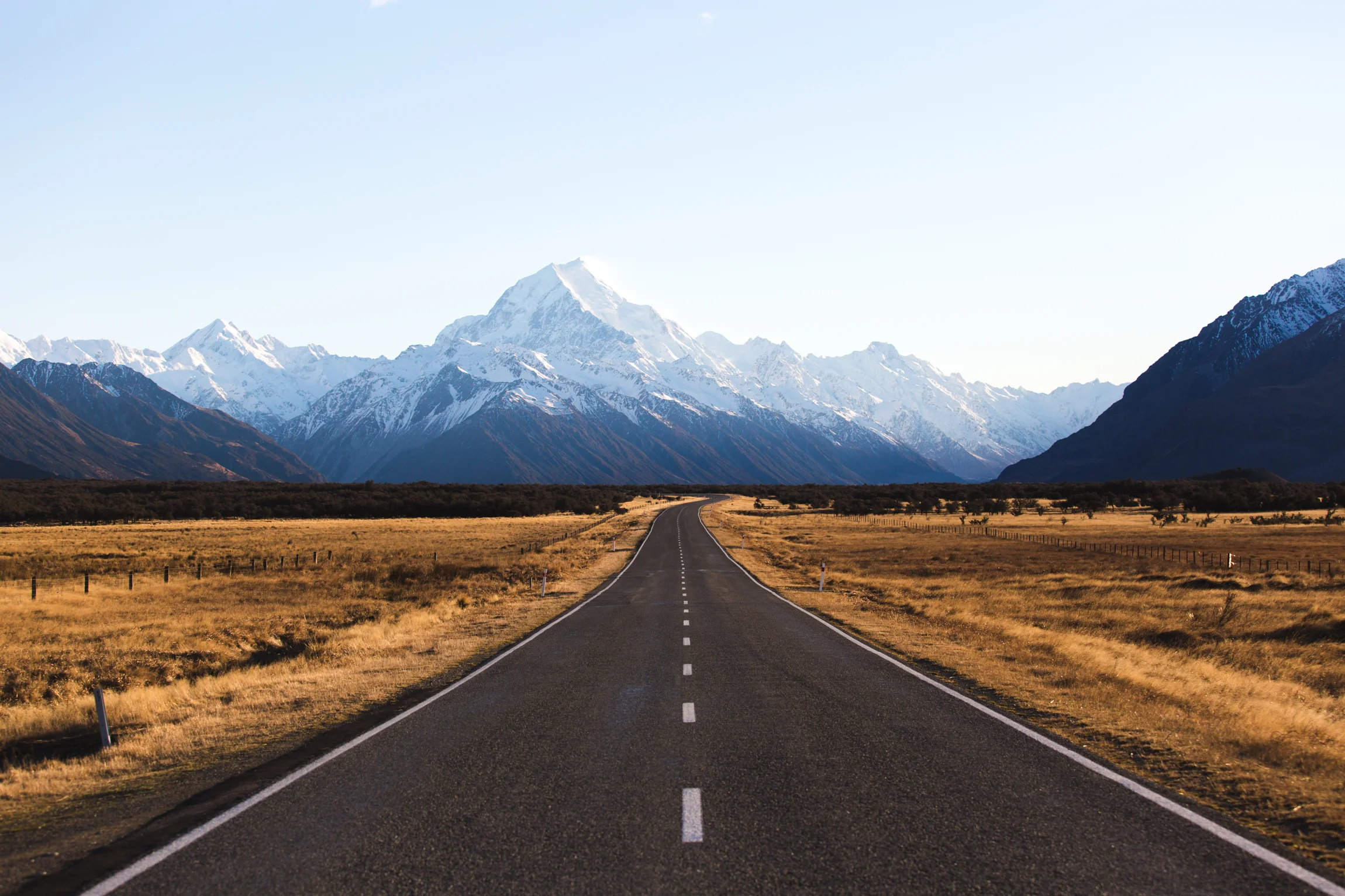 New Zealand-9169.jpg