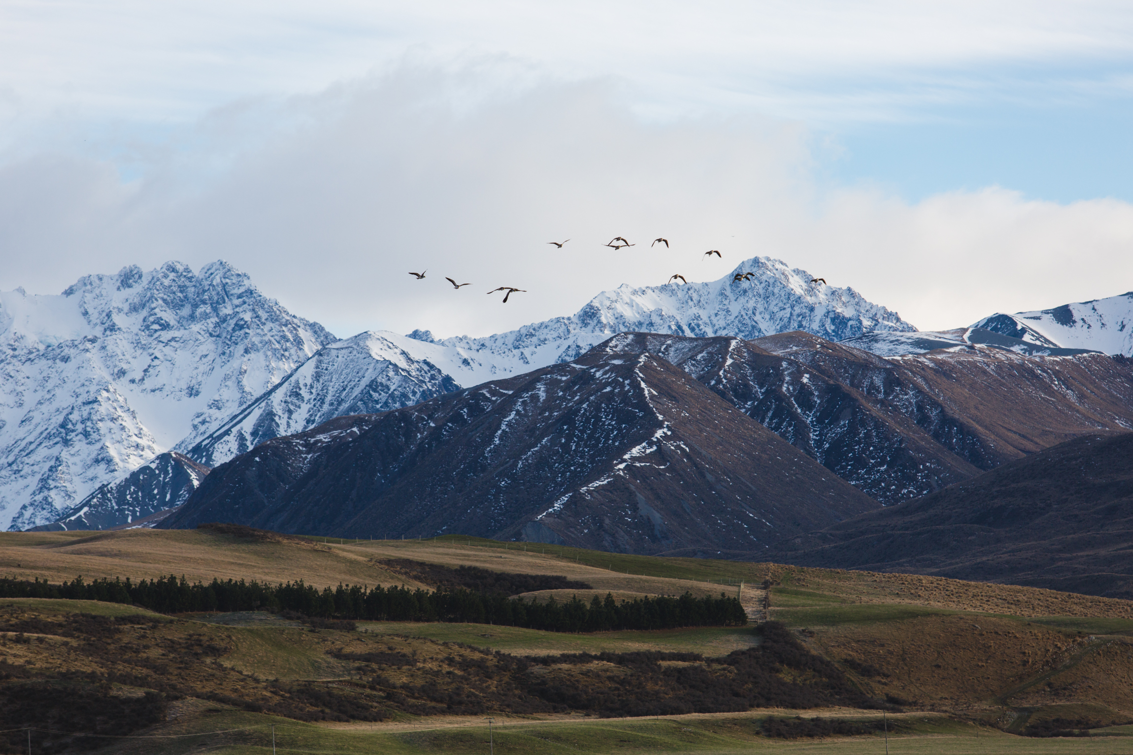 New Zealand-8970.jpg