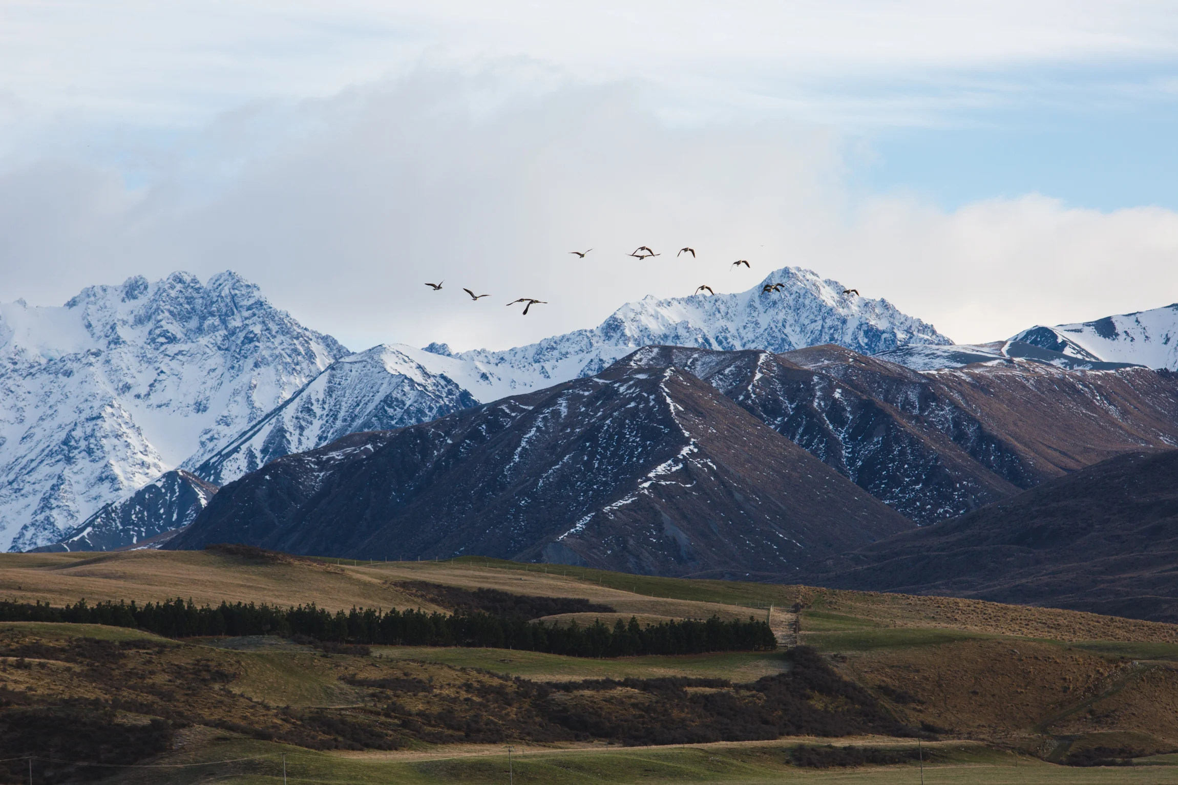 New Zealand-8970.jpg