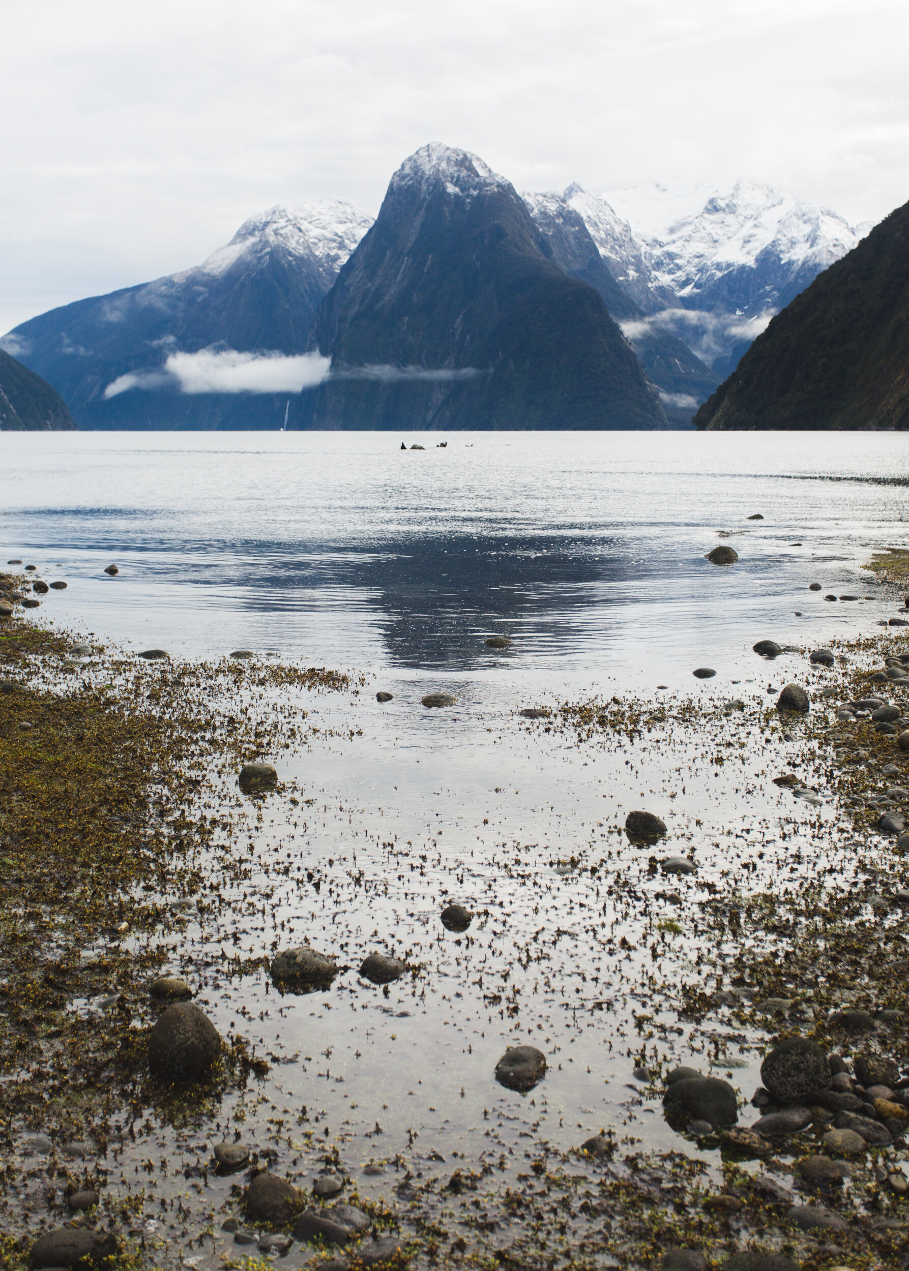 New Zealand-Milford Sound