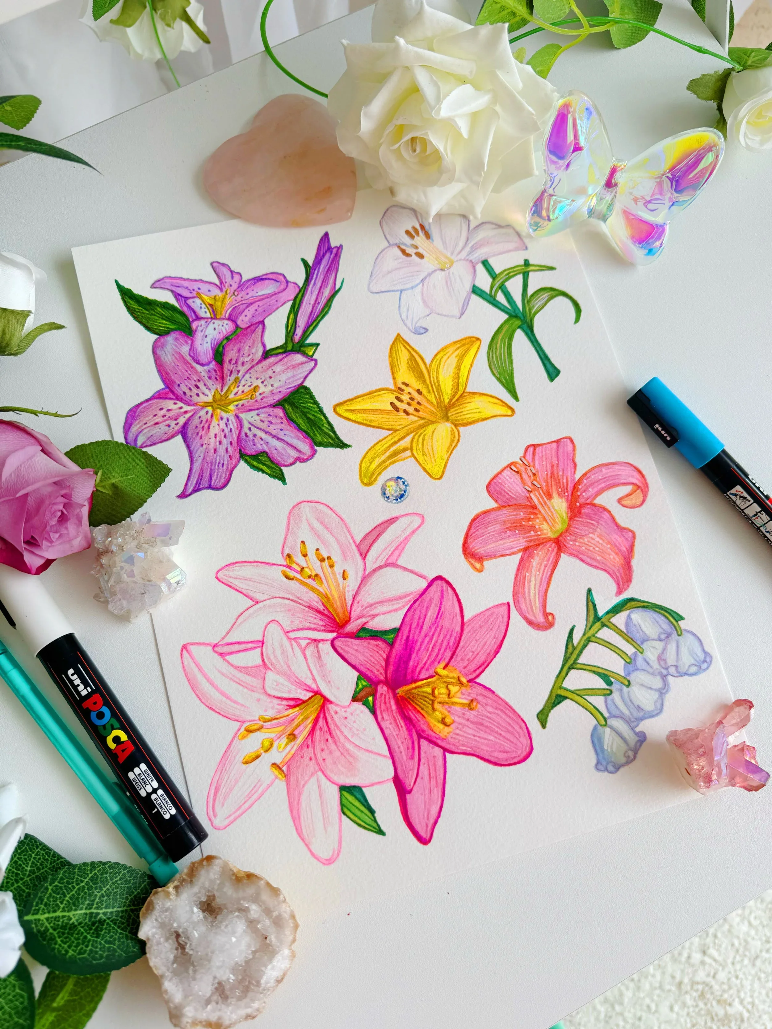 Lily Taxonomy Sheet Original