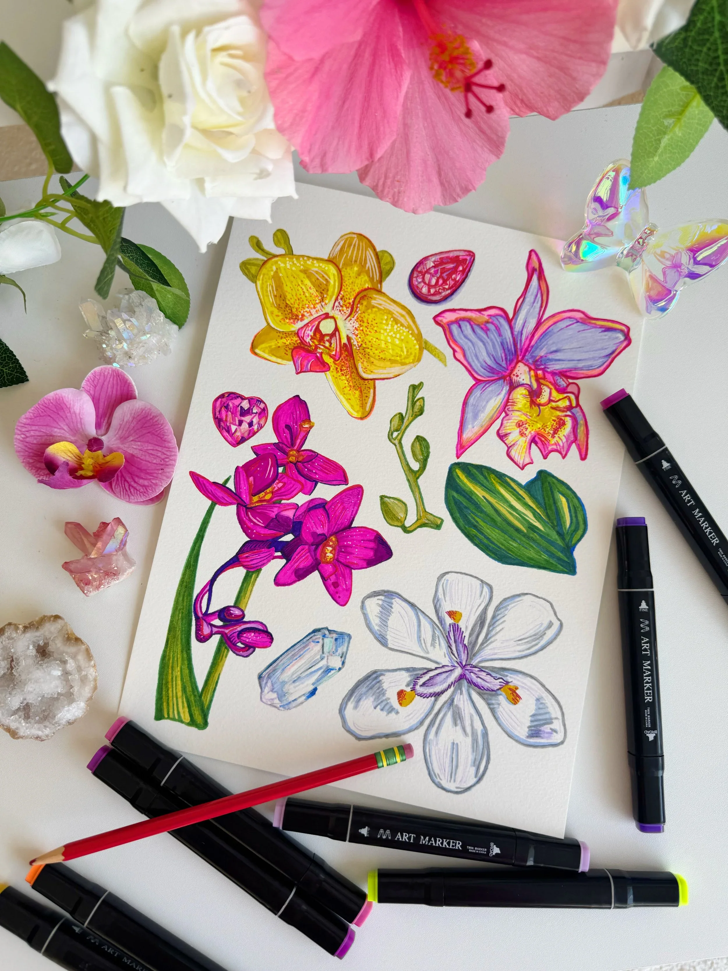 Orchid Taxonomy Sheet Original