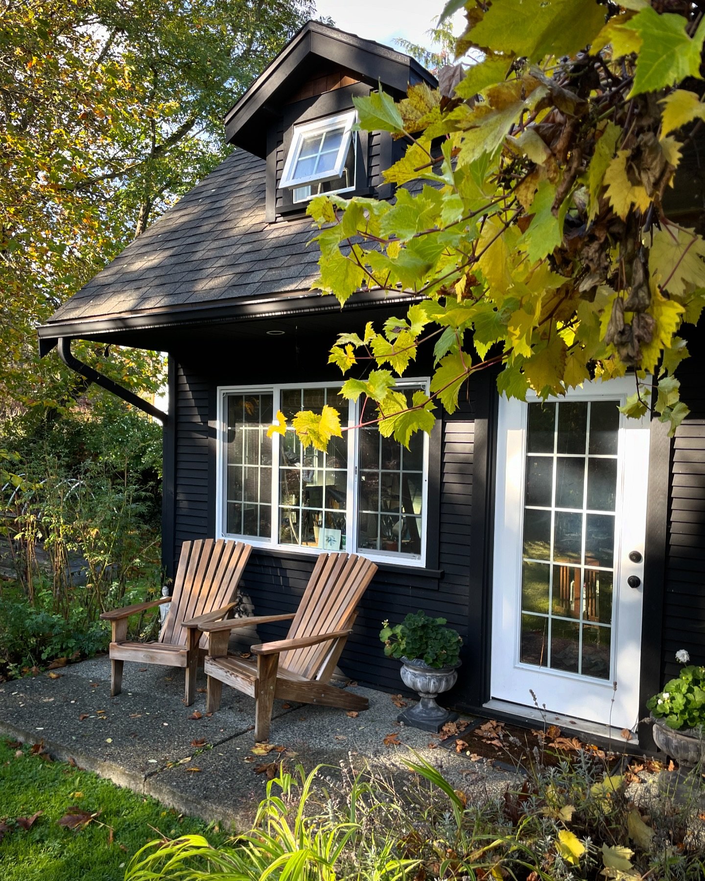 Autumn leaves&hellip;. the most beautiful things come from letting go. 🍂#motherknowsbest #autumnlessons #studio #art #artist #backyard