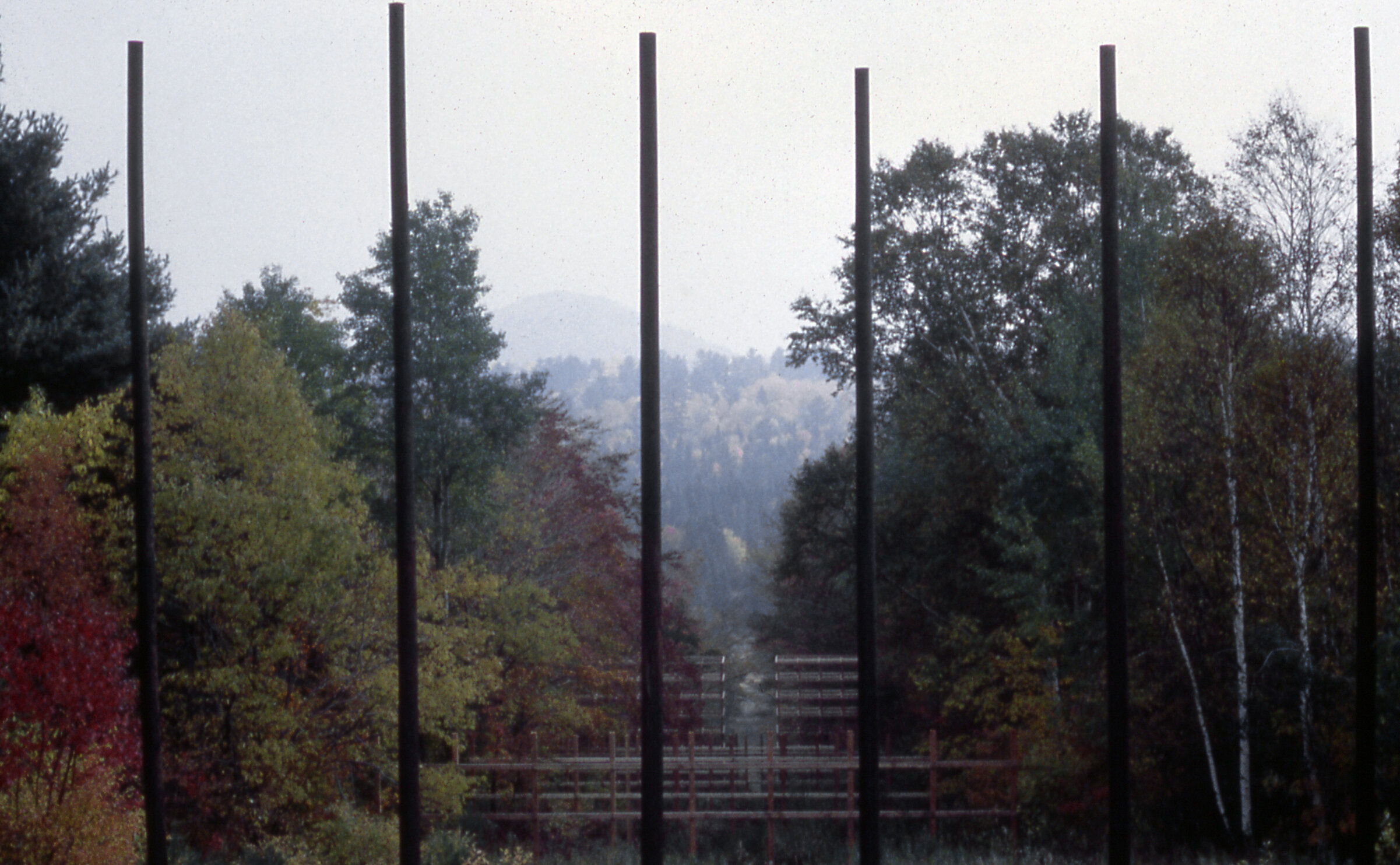 Veiled Landscape, 1979