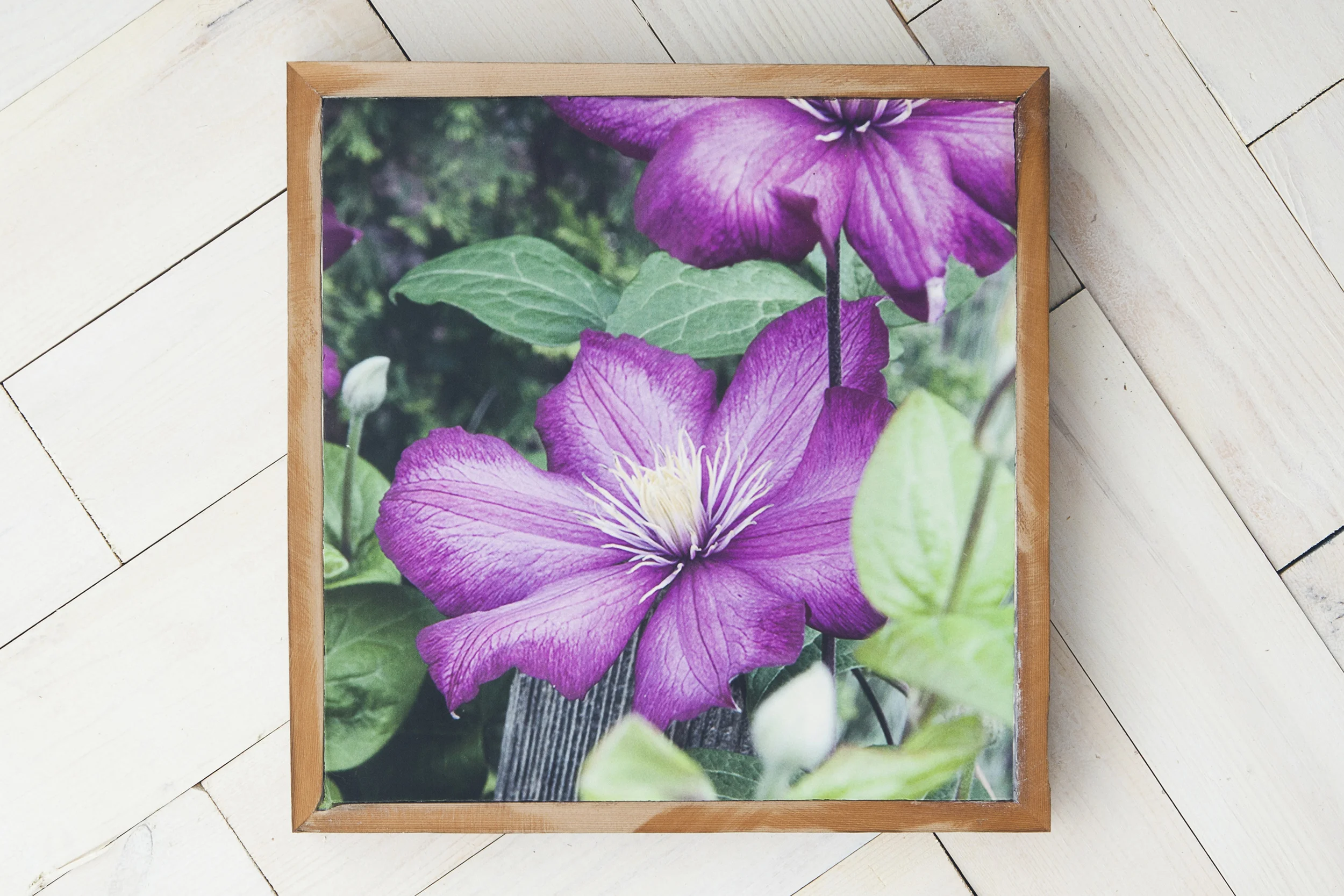flowerart.jpg