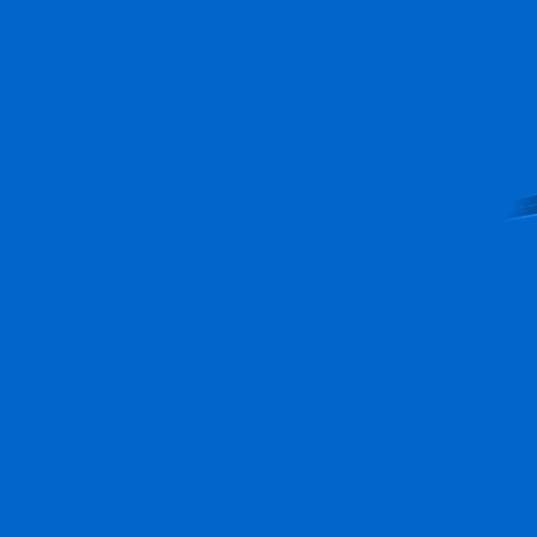 animation.gif