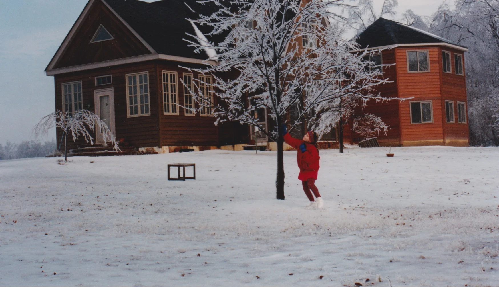 Amaran in front of the house in the aftermath of an ice storm.