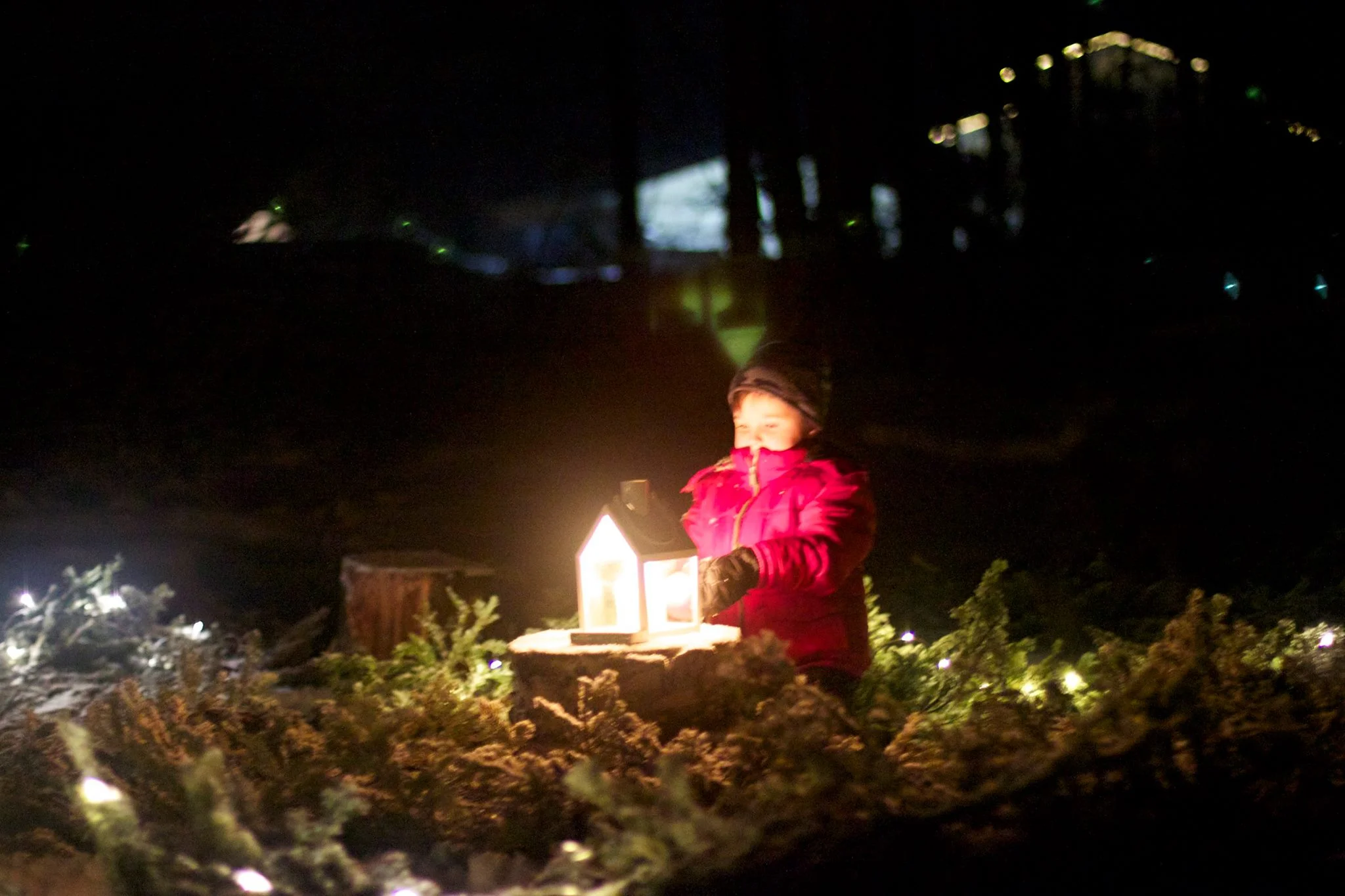 advent 2.jpg