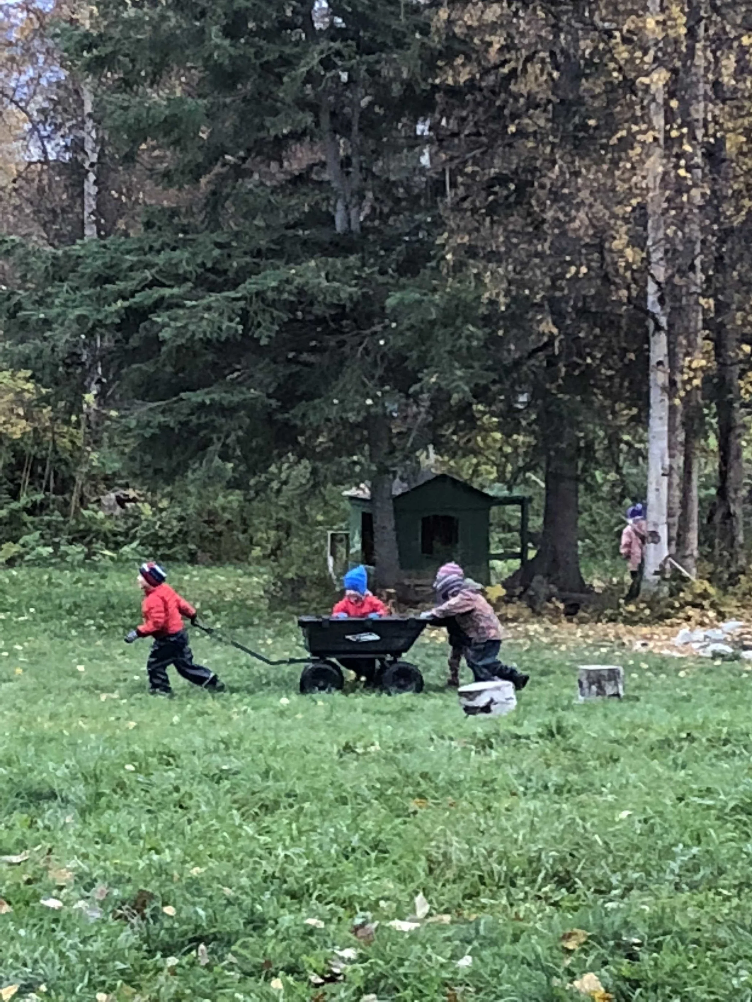 wagon pull 1.jpg