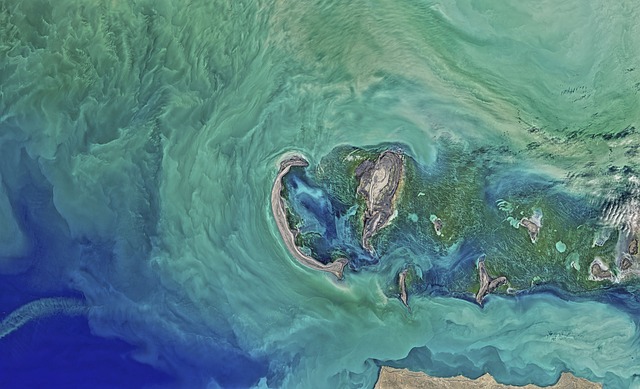 caspian-2577831_640.jpg