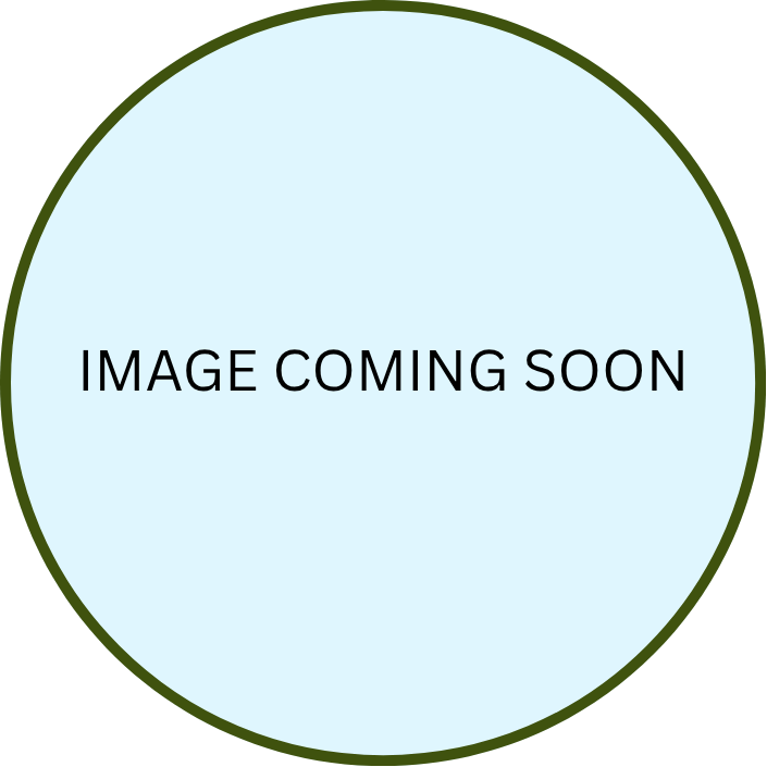 Patch (1).png (Copy)