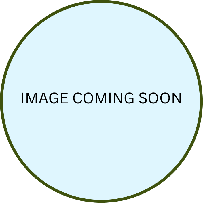 2024 Theme Patch