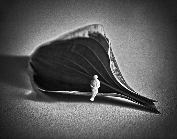 B & W LEAF_NEW_72.jpg