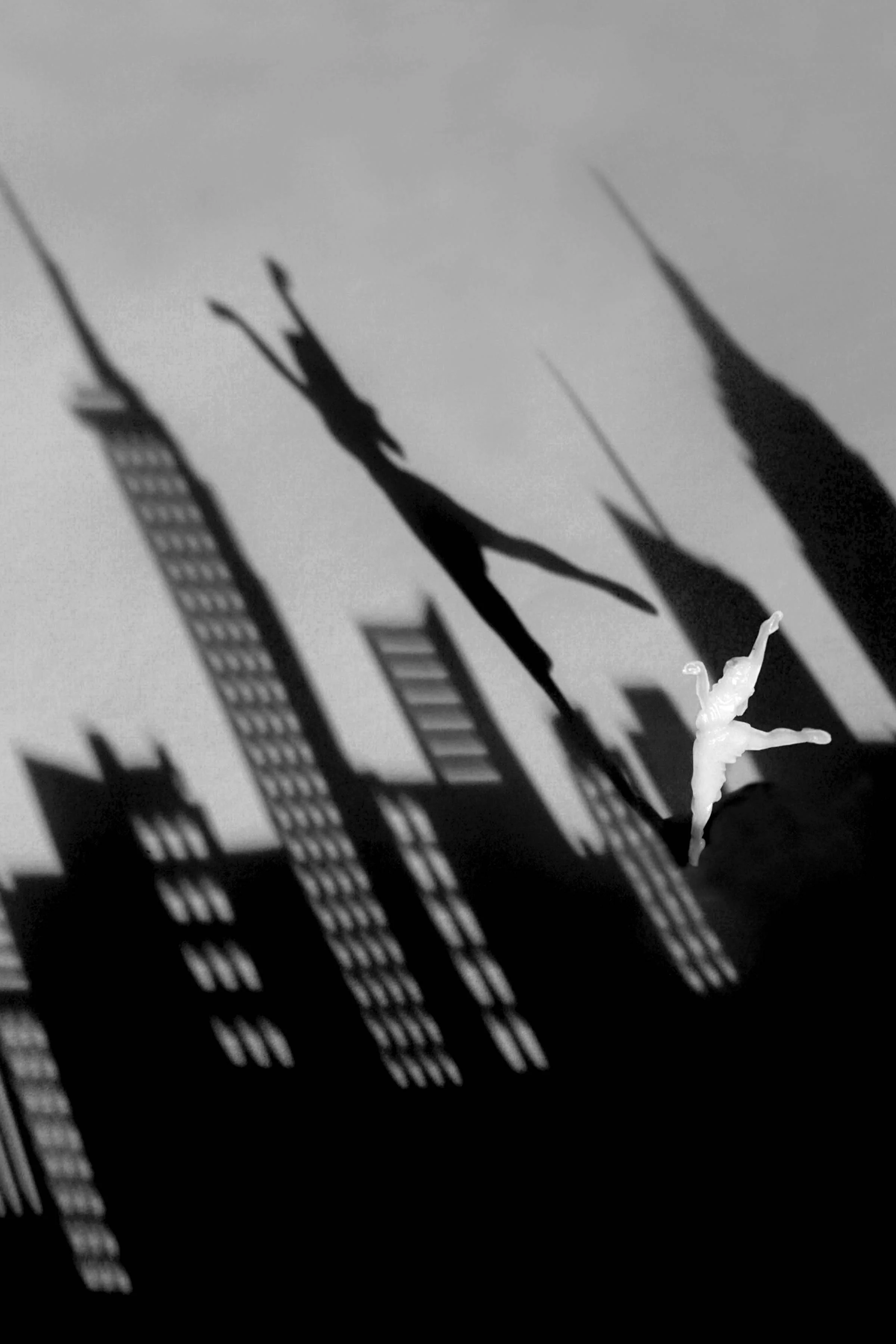 8 x 12.jpg
