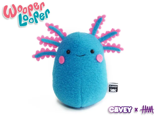 Wooper Looper Cavey