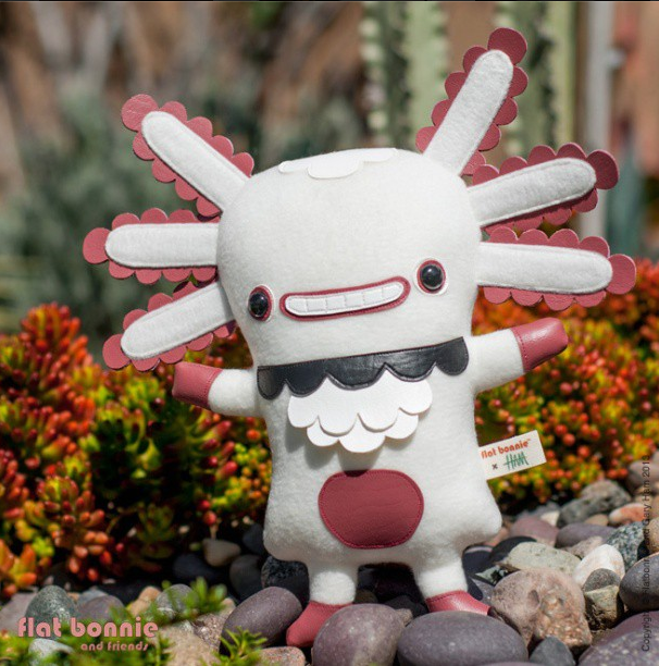 Flat Wooper Looper