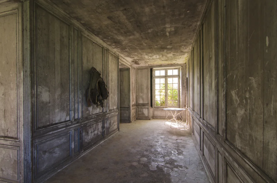 Chateau De Singes France
