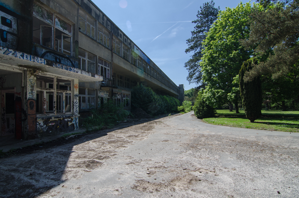 CMP_7842.jpg