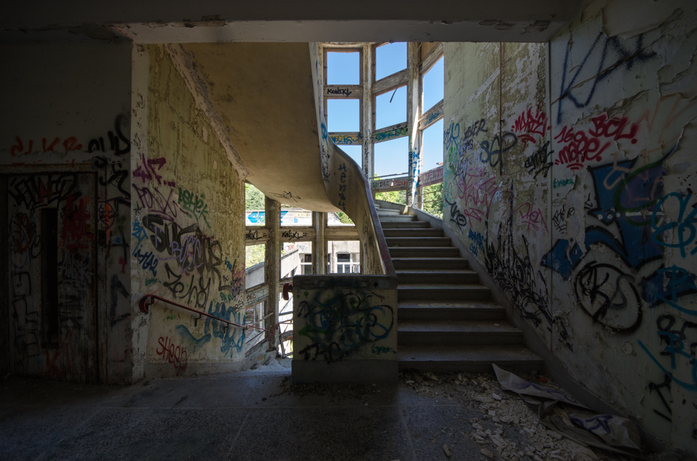 CMP_7863.jpg