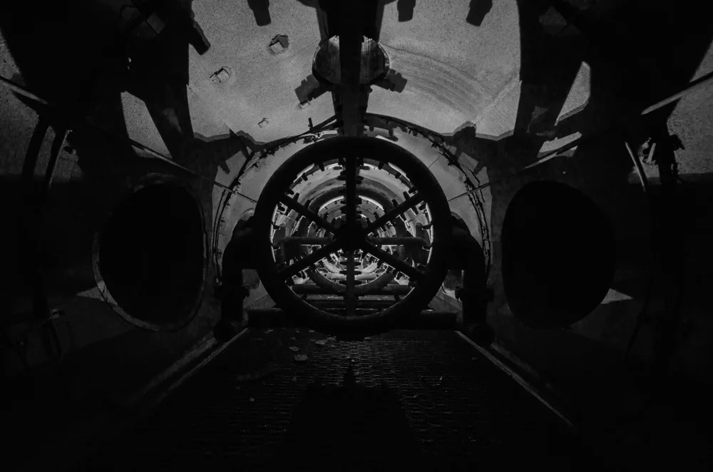 CMP_7371.jpg