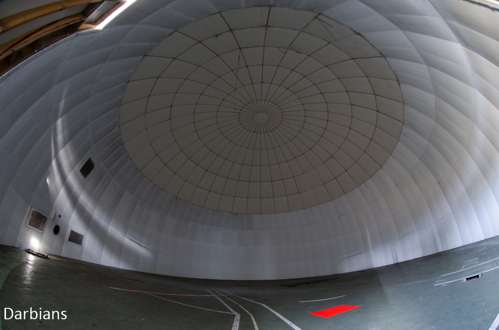 CMP_4867.jpg