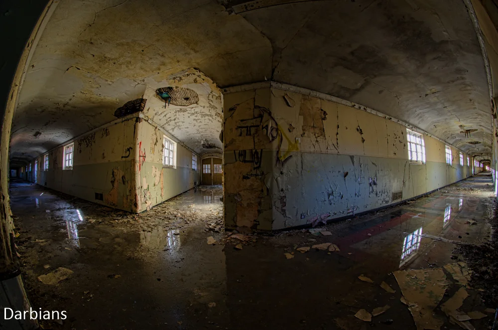 CMP_6201-Edit.jpg
