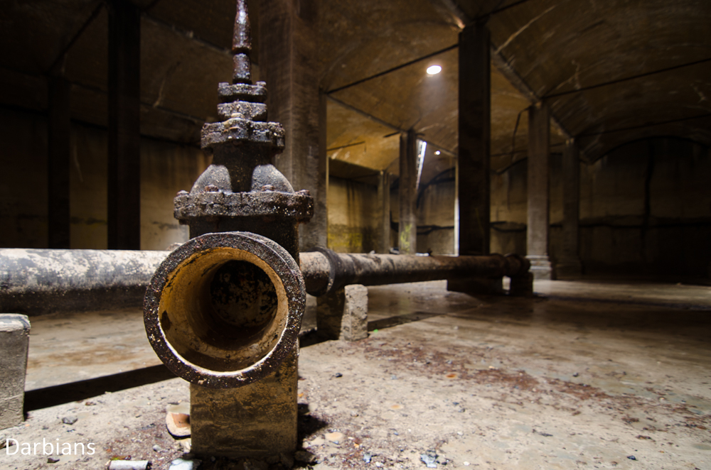 CMP_4789.jpg