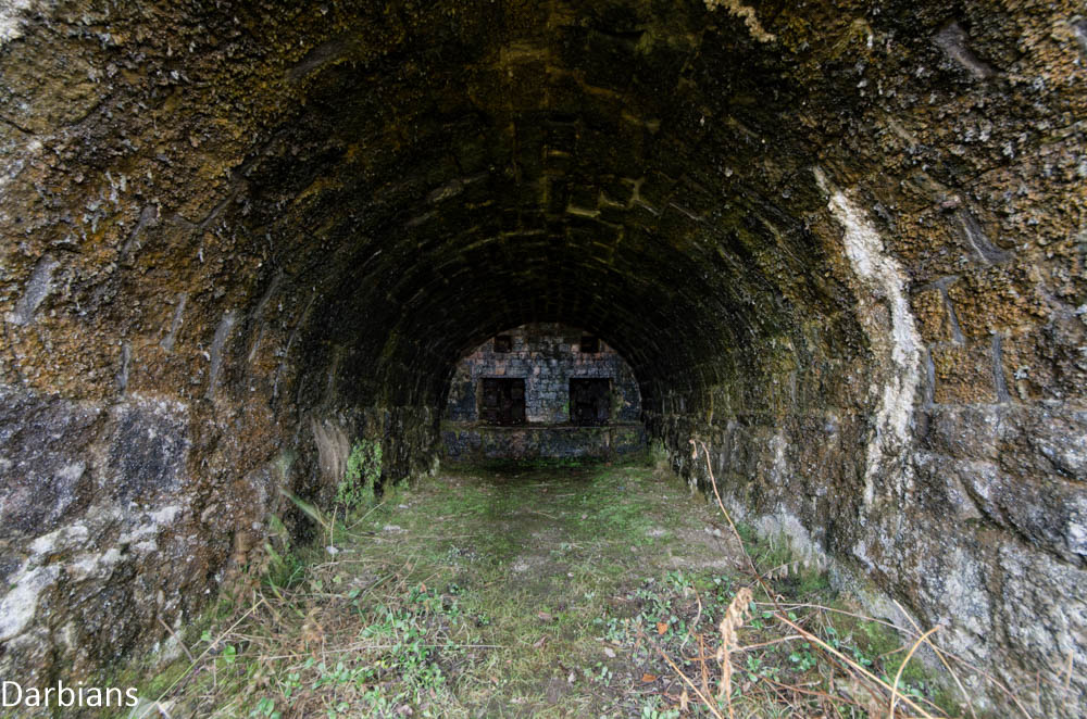 CMP_5233-Edit-Edit.jpg